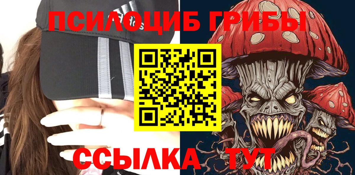 Галлюциногенные грибы Cubensis Городец