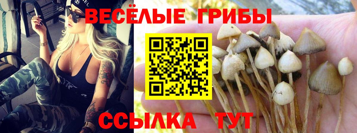 Городец  Галлюциногенные грибы Cubensis  Вход с VPN 